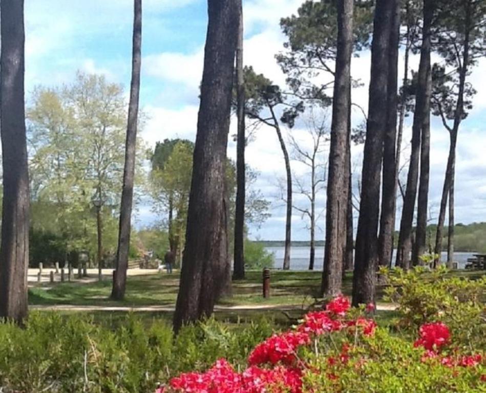 Hotel Au Bon Coin Du Lac Mimizan-Plage Buitenkant foto